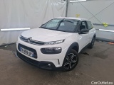 C4 Cactus