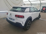C4 Cactus