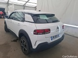 C4 Cactus