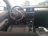 C4 Cactus