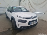 C4 Cactus