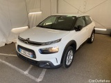 C4 Cactus
