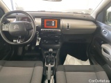 C4 Cactus