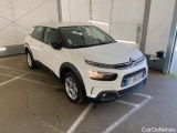C4 Cactus