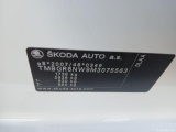  Skoda  KAMIQ SKODA  1.0 TSI 81kW (110CV) DSG Ambition #13