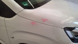 Berlingo