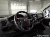 Ducato