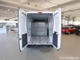 Ducato