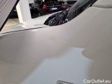  Fiat  Fiorino FIAT  / 2016 / 4P / VETT. FURGONATA 1.3 MULTIJET 95 CV E6D-FINAL SX #113