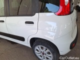  Fiat  Panda FIAT  / 2012 / 5P / BERLINA 900CC 85CV VAN EU6D 4X4 2P.POP #52