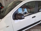  Fiat  Panda FIAT  / 2012 / 5P / BERLINA 900CC 85CV VAN EU6D 4X4 2P.POP #62