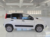  Fiat  Panda FIAT  / 2012 / 5P / BERLINA 900CC 85CV VAN EU6D 4X4 2P.POP #7