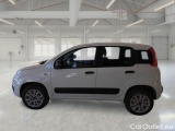  Fiat  Panda FIAT  / 2012 / 5P / BERLINA 900CC 85CV VAN EU6D 4X4 2P.POP #8