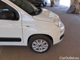  Fiat  Panda FIAT  / 2012 / 5P / BERLINA 900CC 85CV VAN EU6D 4X4 2P.POP #33