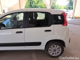  Fiat  Panda FIAT  / 2012 / 5P / BERLINA 900CC 85CV VAN EU6D 4X4 2P.POP #51
