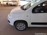  Fiat  Panda FIAT  / 2012 / 5P / BERLINA 900CC 85CV VAN EU6D 4X4 2P.POP #61