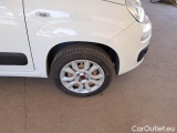  Fiat  Panda FIAT  / 2012 / 5P / BERLINA 900CC 85CV VAN EU6D 4X4 2P.POP #64