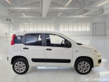  Fiat  Panda FIAT  / 2012 / 5P / BERLINA 900CC 85CV VAN EU6D 4X4 2P.POP #7