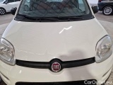  Fiat  Panda FIAT  / 2012 / 5P / BERLINA 900CC 85CV VAN EU6D 4X4 2P.POP #31
