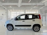  Fiat  Panda FIAT  / 2012 / 5P / BERLINA 900CC 85CV VAN EU6D 4X4 2P.POP #8