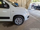 Fiat  Panda FIAT  / 2012 / 5P / BERLINA 900CC 85CV VAN EU6D 4X4 2P.POP #38