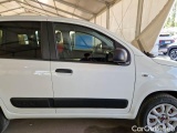  Fiat  Panda FIAT  / 2012 / 5P / BERLINA 900CC 85CV VAN EU6D 4X4 2P.POP #42