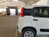  Fiat  Panda FIAT  / 2012 / 5P / BERLINA 900CC 85CV VAN EU6D 4X4 2P.POP #47