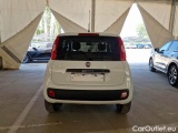  Fiat  Panda FIAT  / 2012 / 5P / BERLINA 900CC 85CV VAN EU6D 4X4 2P.POP #50