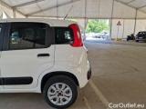  Fiat  Panda FIAT  / 2012 / 5P / BERLINA 900CC 85CV VAN EU6D 4X4 2P.POP #55
