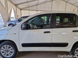 Fiat  Panda FIAT  / 2012 / 5P / BERLINA 900CC 85CV VAN EU6D 4X4 2P.POP #61
