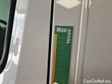  Renault  Trafic RENAULT  / 2021 / 4P / FURGONE FG L2 H1 T30 DCI 110 ICE #109