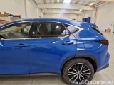  Lexus  NX LEXUS  / 2021 / 5P / SUV HYBRID LUXURY 4WD MY22 #24