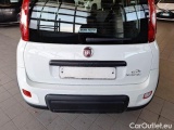  Fiat  Panda FIAT  / 2011 / 5P / BERLINA 1.0 FIREFLY 70CV SeS HYBRID CITY LIFE #39