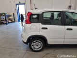 Fiat  Panda FIAT  / 2011 / 5P / BERLINA 1.0 FIREFLY 70CV SeS HYBRID #37