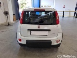  Fiat  Panda FIAT  / 2011 / 5P / BERLINA 1.0 FIREFLY 70CV SeS HYBRID #39