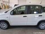  Fiat  Panda FIAT  / 2011 / 5P / BERLINA 1.0 FIREFLY 70CV SeS HYBRID #49