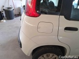  Fiat  Panda FIAT  / 2011 / 5P / BERLINA 0.9 TWINAIR TURBO NATURAL POWER EASY #62