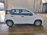  Fiat  Panda FIAT  / 2011 / 5P / BERLINA 1.0 70CV SeS HYBRID E6D-T EASY #9