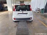  Fiat  Panda FIAT  / 2011 / 5P / BERLINA 1.0 70CV SeS HYBRID E6D-T EASY #49