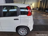  Fiat  Panda FIAT  / 2011 / 5P / BERLINA 1.0 70CV SeS HYBRID E6D-T EASY #58