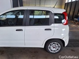  Fiat  Panda FIAT  / 2011 / 5P / BERLINA 1.0 70CV SeS HYBRID E6D-T EASY #65