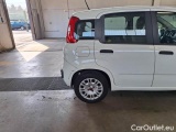  Fiat  Panda FIAT  / 2011 / 5P / BERLINA 1.0 70CV SeS HYBRID E6D-T EASY #86