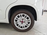  Fiat  Panda FIAT  / 2011 / 5P / BERLINA 1.2 69CV E6 EASY #19
