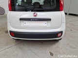  Fiat  Panda FIAT  / 2011 / 5P / BERLINA 1.2 69CV E6 EASY #39