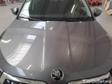  Skoda  Karoq SKODA  / 2022 / 5P / SUV 2.0 TDI 85KW EVO SCR EXECUTIVE #31