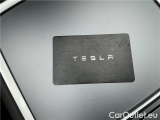  Tesla  Model Y  Long Range AWD AT #14