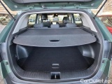  KIA  Sportage 1.6 CRDI 136 MHEV DCT7 ACTIVE BUSIN #13