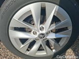  Skoda  Octavia 2.0 TDI 150 DSG7 BUSINESS #18