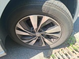  Volkswagen  Polo 1.6 TDI 95 LOUNGE BUSINESS #19