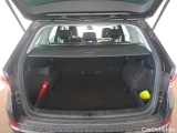  Skoda  Kodiaq  Business 2.0 TDI 150CV BVA7 E6d #10